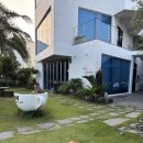 다와국수 | 강아지와 함께 여름 제주여행 2 / 제주 다와 풀빌라