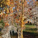 정용진농장 이미지