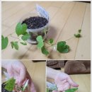 에꼬미 - 동해시 중앙로 247 | 에꼬미
