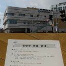 대전광역시 서구보건소 | 대전 유성구 보건소 임산부 산전검사 후기 비용 금식 결과