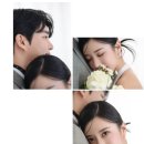 루시드플라워