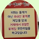 킹덤의 첫 번째 번개 모임 통영 소매물도에서 기분전환해요. 이미지