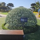 2025 천간작(거야지월) 전시상태 25.10.28.화. 이미지