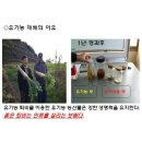 사계절축사 이미지