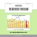 데일리 동물병원 이미지