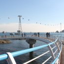 동백공원 생태 이미지