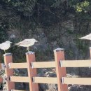 서해랑길 47코스 이미지