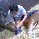 순산목장 이미지