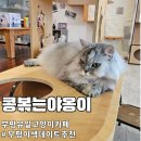 콩볶는야옹이