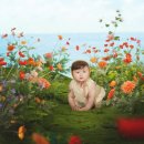 바다언덕 이미지