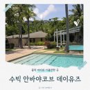 수빅 여행 안바야코브 리조트 데이 유즈 후기