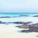 제주바당 이미지