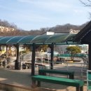 꽃게 의자 이미지