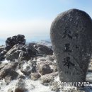 인본 이미지