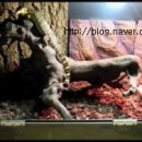 작은 동물원 이미지