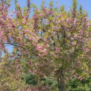 미사경정공원 이미지