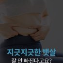 바리바디 EMS 마사지 벨트 사용 설명서 (2024.07.19.금) 위메프 이미지