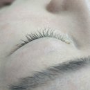 디바인스퀘어상가 | 기장 일광 속눈썹연장 속눈썹펌 어니st네일 아이솜