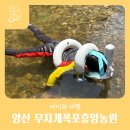 휴양을 위한집 | 부산근교 취사가능한 계곡 양산 무지개폭포휴양농원 자리선정 후기