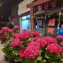 국도 세탁소 이미지