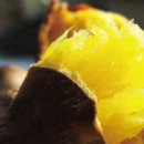 논밭상점 이미지