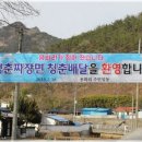 청춘짜장 이미지