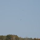 버드나무골 이미지