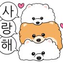 펫츠다이닝(pet's dining) 이미지