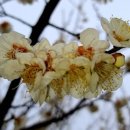 하늘뜰 농장 이미지