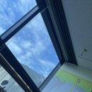 모른골지 | 슬기로운 입원생활 (feat.불면)