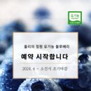 행복한블루베리 이미지
