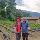 누운골영농조합법인 이미지