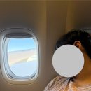 태평로431번길 | 제주도 2박3일 여행 기록 - 1일차 (제주 렌트카 추천/제주시 맛집 추천/서귀포 맛집 추천/아줄레주...