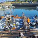 하모리-17 이미지