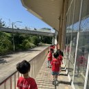 🪵ECO COMPLEX(1) 미호종개를 지켜라!🪵 이미지
