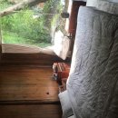 자오헤어 이미지