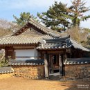 은행나무숲 주차장 부근 | 밀양 오연정과 암새들 은행나무숲 아기와 외출