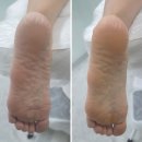 레푸스 태릉입구역점