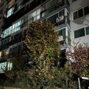 CU 종로공원점 | 종로구)창신쌍용2단지아파트 임장 주관적 후기