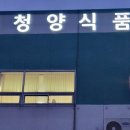 싸인채널