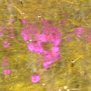 계곡수채화 이미지