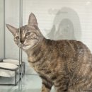 아이조아 요양보호소 서울점 이미지