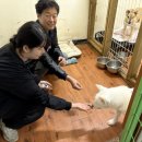 청주약품 이미지