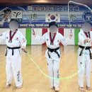 용인대 정무태권도장 이미지