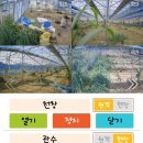 조*열 이미지