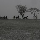 대원목장 이미지