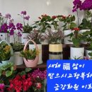 김제꽃사랑화원