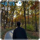 서울숲 생태숲 화장실 | 서울 데이트 성수 서울숲 사슴 생태숲 구경하기