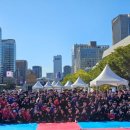 용인대 맹호합기도 이미지