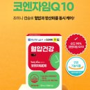 다이소 건강기능식품 종근당 데일리와이즈 13종 후기